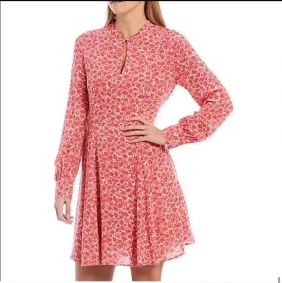 A Loves A Dresses & Skirts - A loves a floral cherry print dress size L rayon